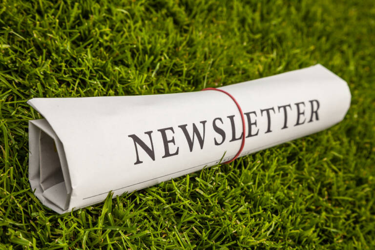 Newsletter,Newspaper,On,A,Green,Meadow